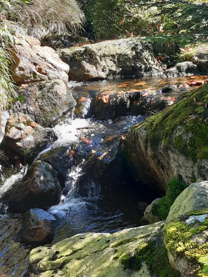 Anno - Wohlfuehlen Am Bachal In Altschoenau Neuschönau Eksteriør bilde