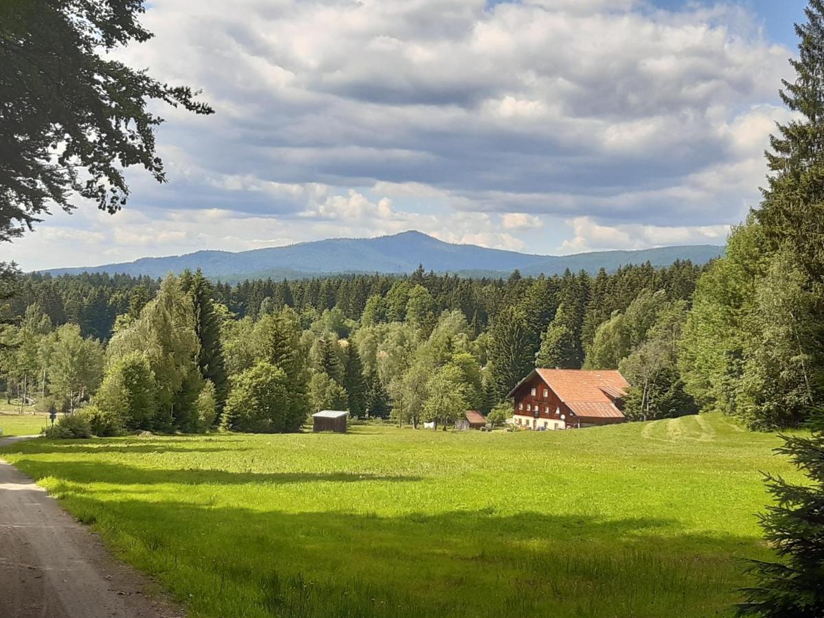Anno - Wohlfuehlen Am Bachal In Altschoenau Neuschönau Eksteriør bilde